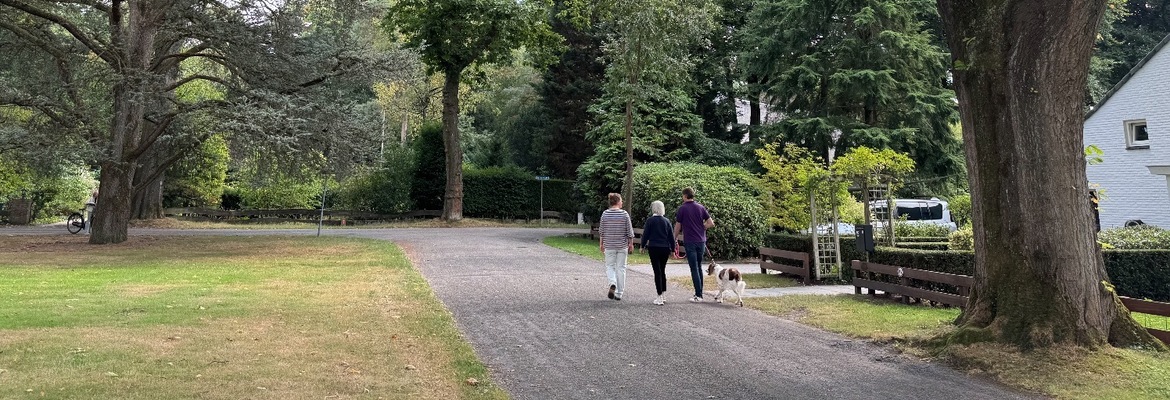 wandel-trio